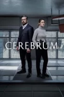 Мозг смотреть онлайн сериал 1 сезон